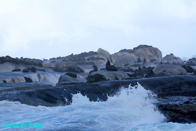 seal island